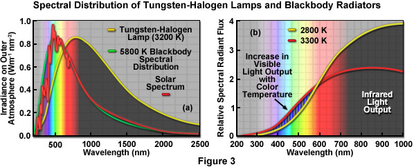 Zeiss Microscopy Online Campus Tungsten Halogen Lamps