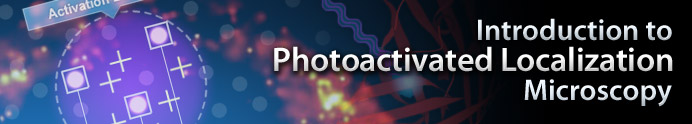 Introduction to Photoactivated Localization Microscopy